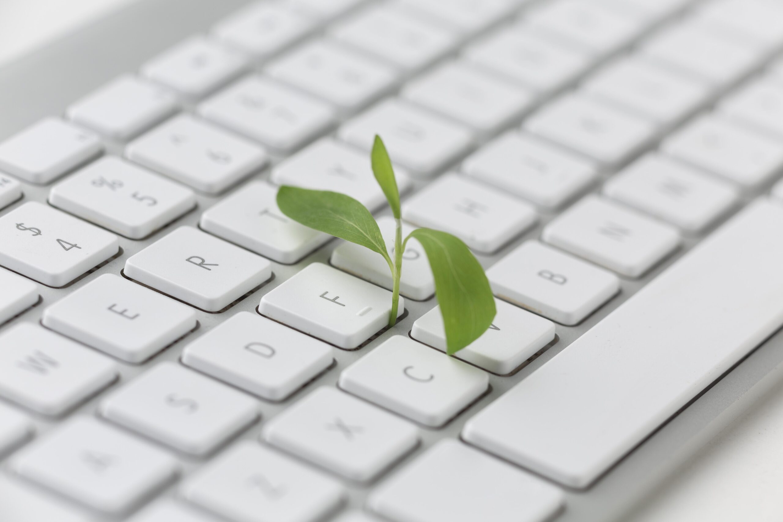 Read more about the article Optimalkan Penggunaan Energi dengan Teknologi Green Computing